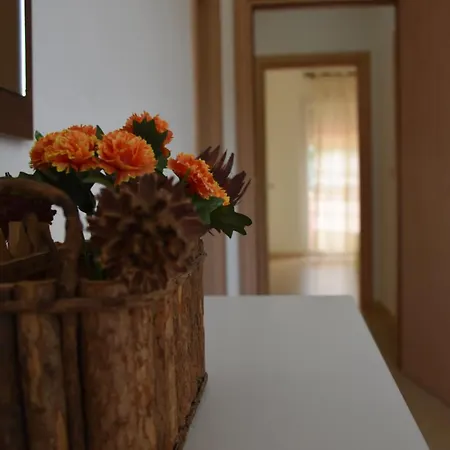 Leta's Apartments, Vacation