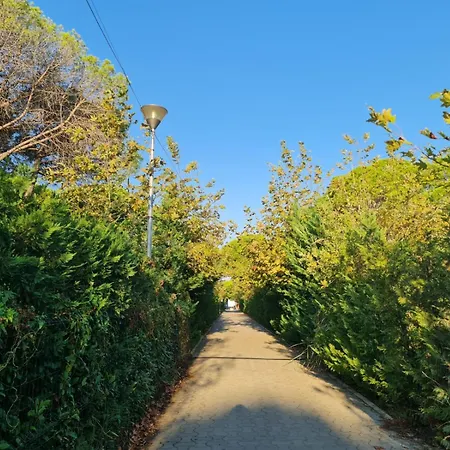 Daire Leta's Apartments, Vacation *