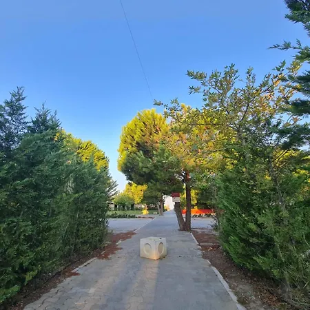 Leta's Apartments, Vacation