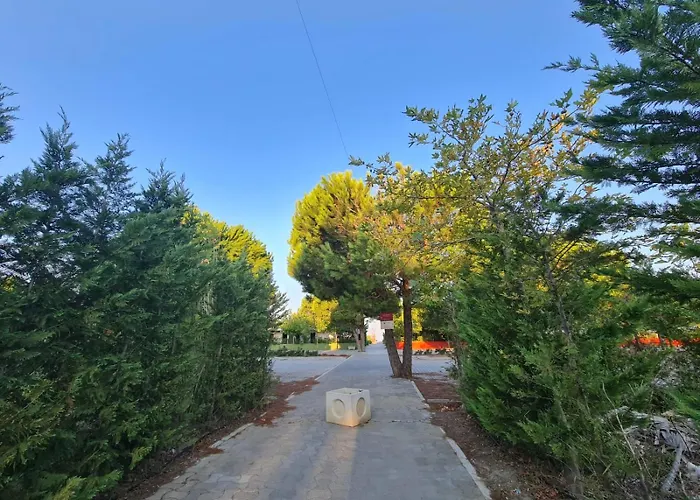 Leta's Apartments, Vacation